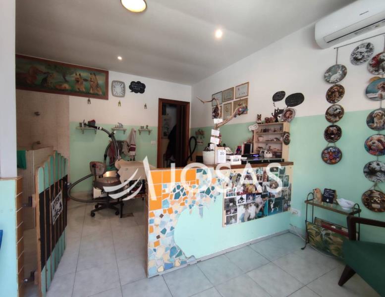 immagine annuncio 4 di 12