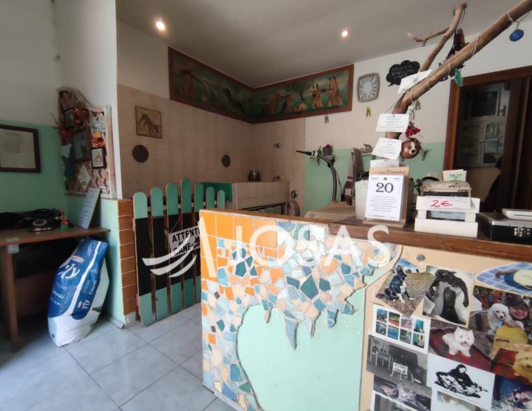 immagine annuncio 5 di 12