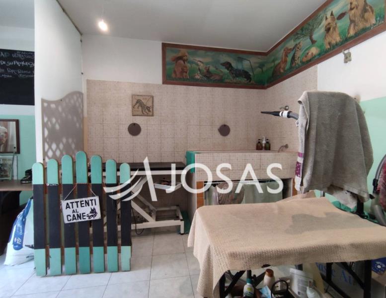 immagine annuncio 6 di 12