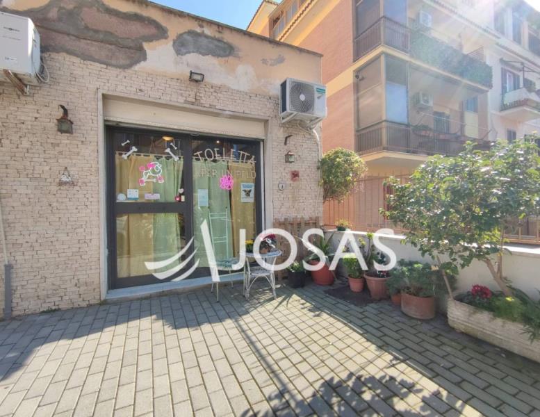 immagine annuncio 2 di 12