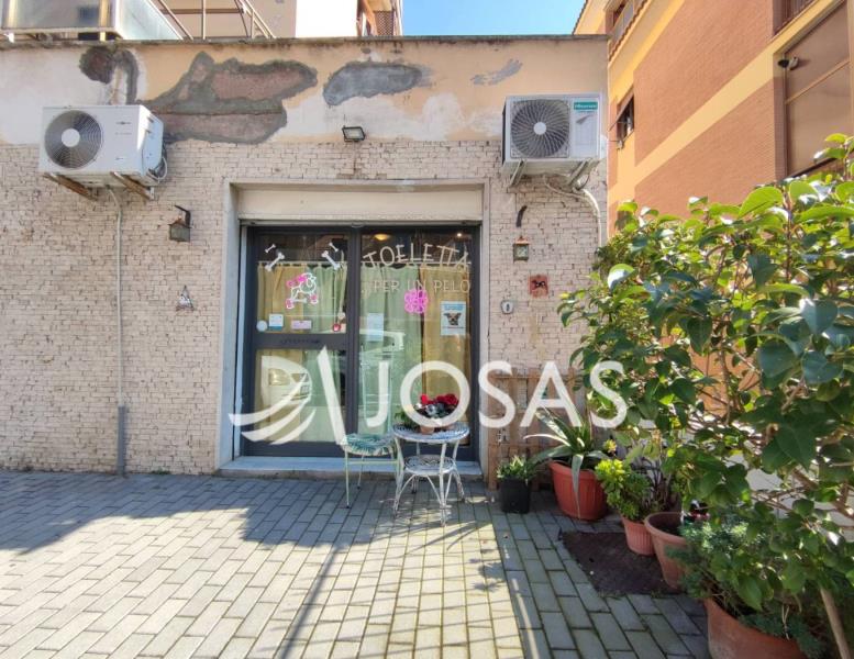 immagine annuncio 1 di 12