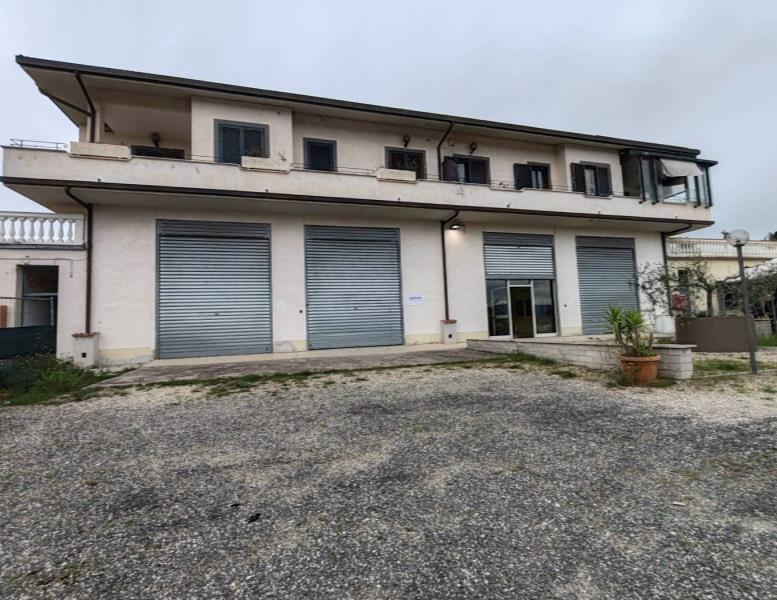 immagine annuncio 10 di 12