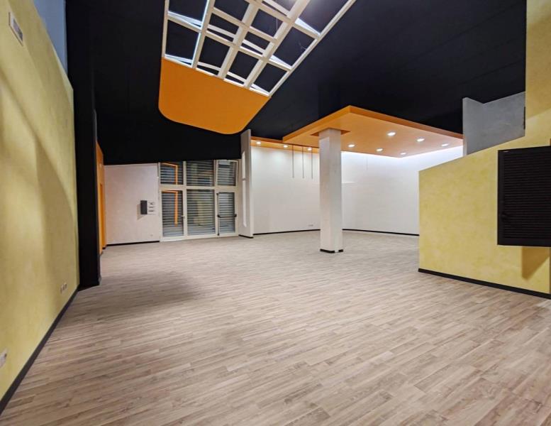 immagine annuncio 2 di 12