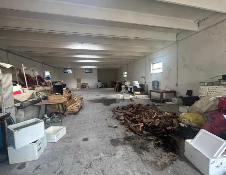 immagine annuncio 3 di 8