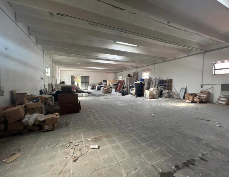 immagine annuncio 4 di 8