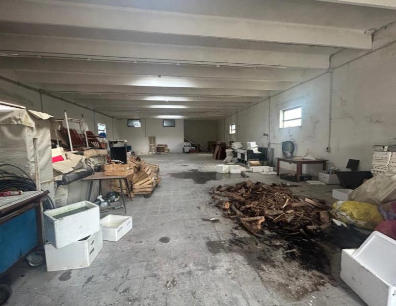 immagine annuncio 2 di 8