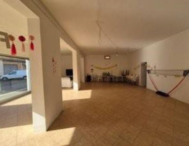 immagine annuncio 9 di 14
