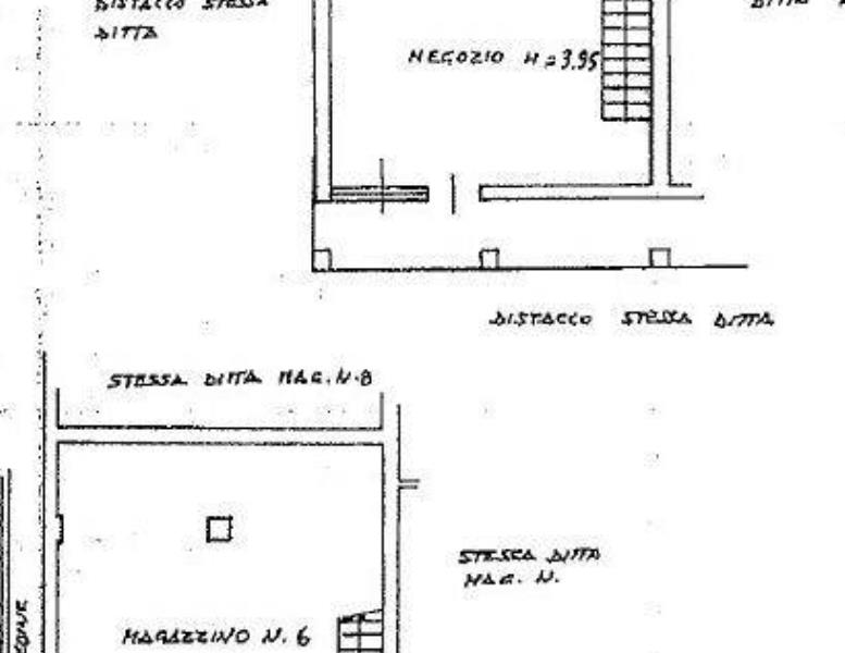 immagine annuncio 11 di 12