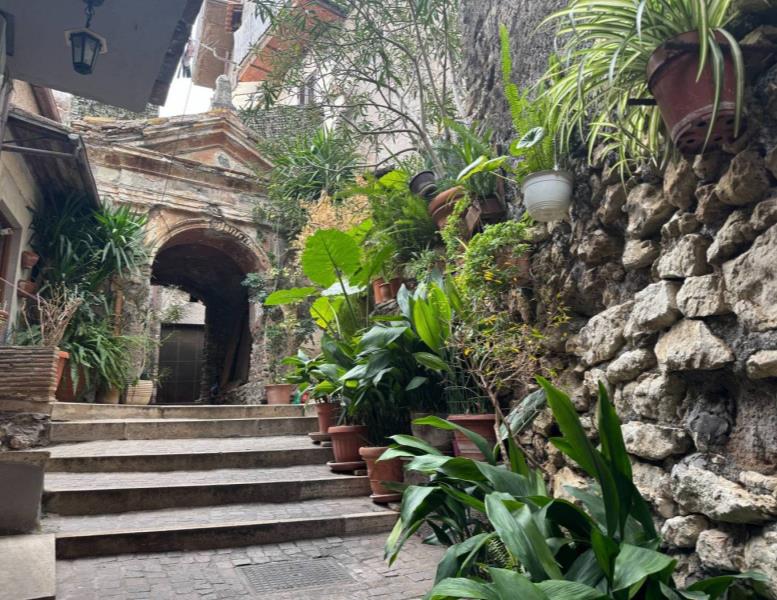 immagine annuncio 12 di 14