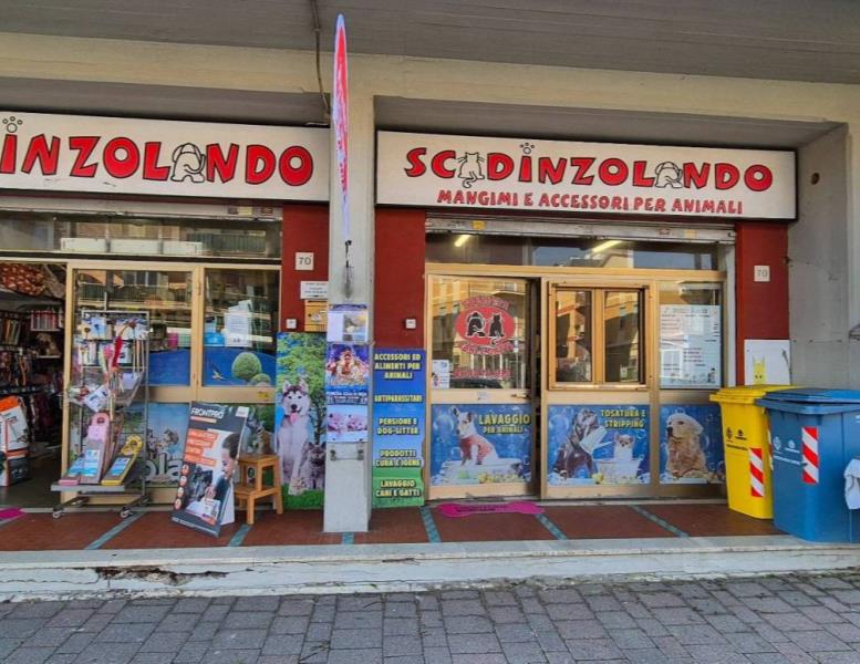 immagine annuncio 1 di 15