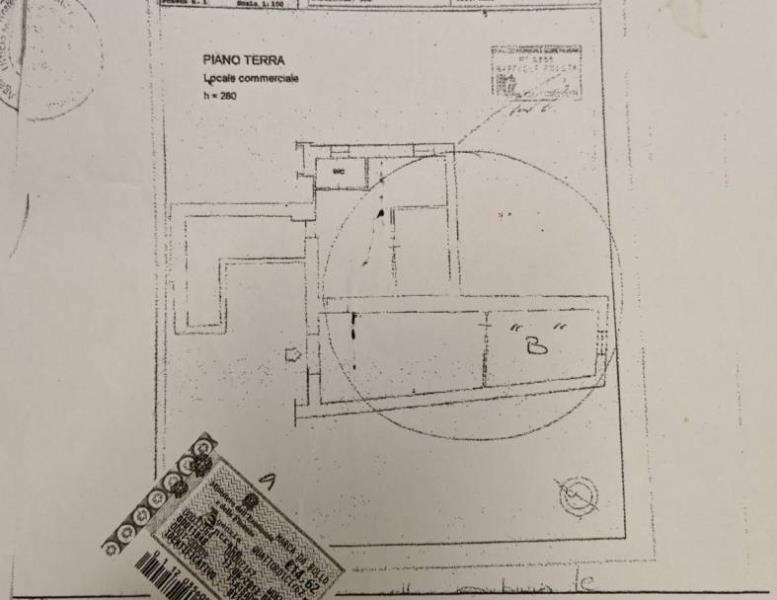 immagine annuncio 11 di 13