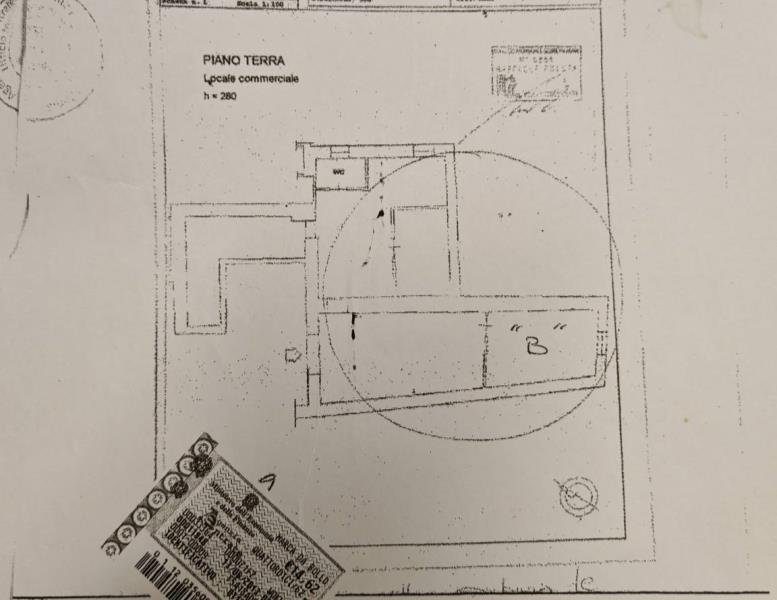 immagine annuncio 12 di 13