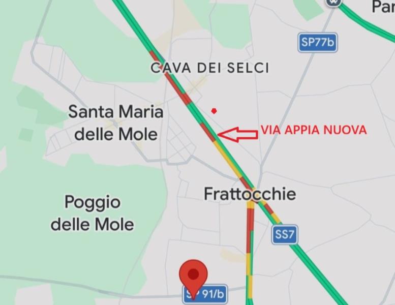 immagine annuncio 12 di 13