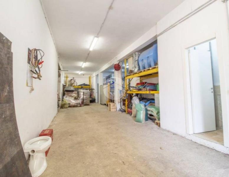 immagine annuncio 3 di 14