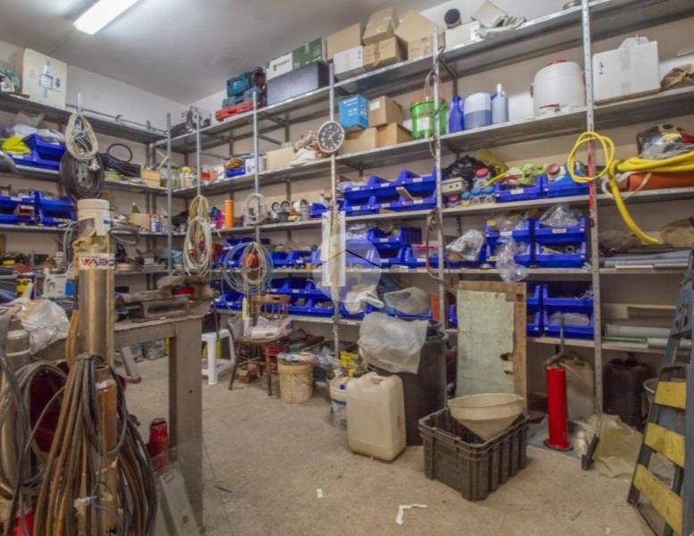 immagine annuncio 6 di 14