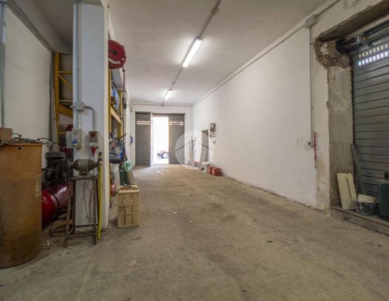 immagine annuncio 9 di 14