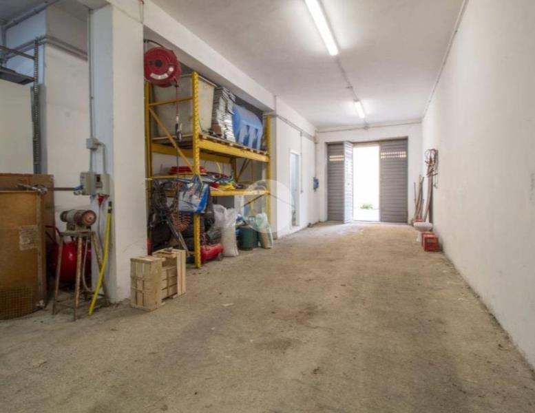 immagine annuncio 4 di 14