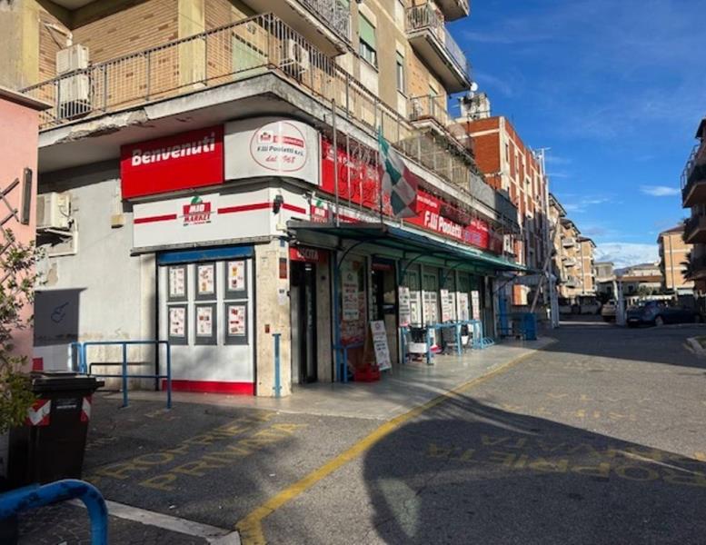 immagine annuncio 6 di 14