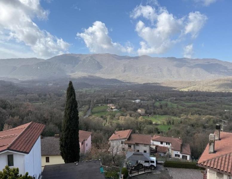 immagine annuncio 12 di 14