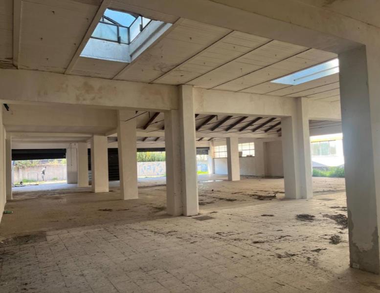 immagine annuncio 8 di 13