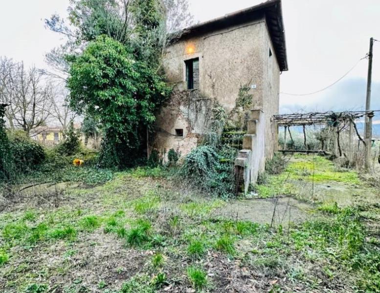 immagine annuncio 1 di 3