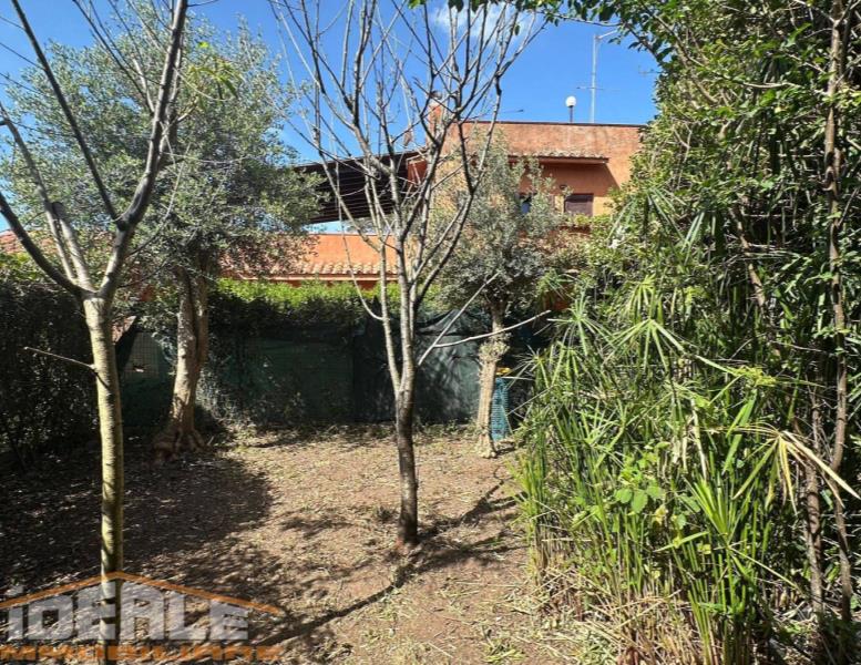 immagine annuncio 4 di 14