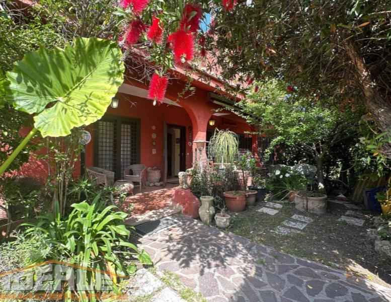 immagine annuncio 1 di 14