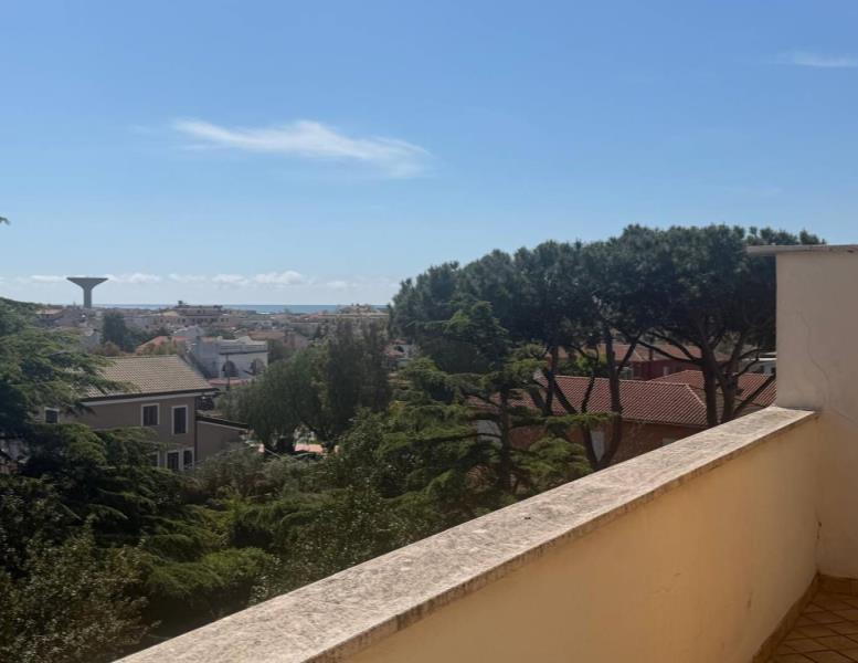 immagine annuncio 1 di 7