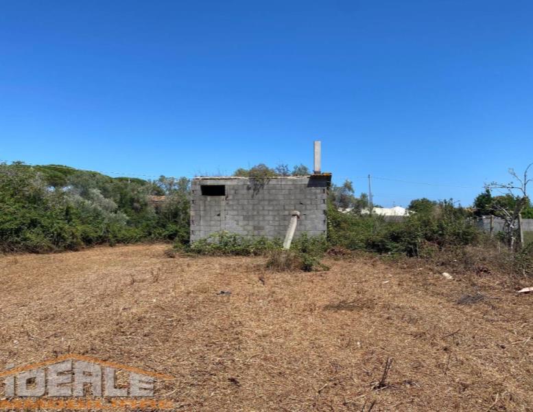 immagine annuncio 1 di 4