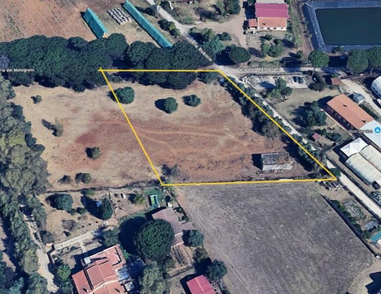 immagine annuncio 2 di 4