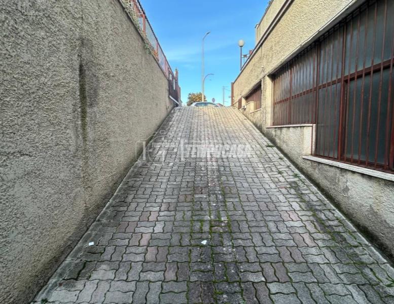 immagine annuncio 10 di 13
