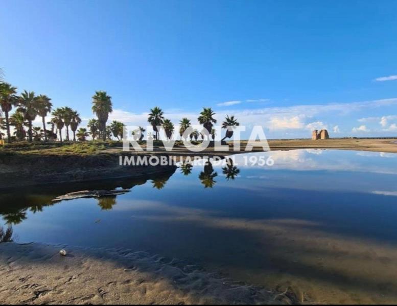 immagine annuncio 11 di 12