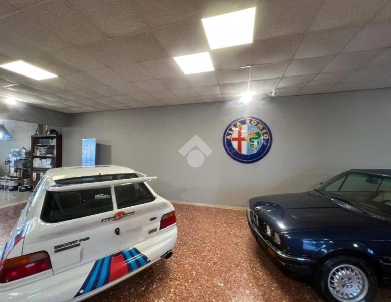immagine annuncio 12 di 15