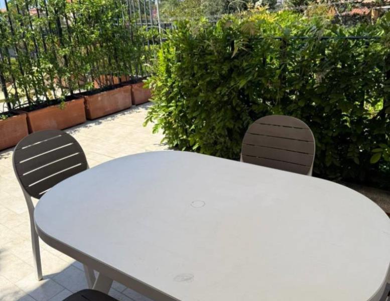 immagine annuncio 1 di 12