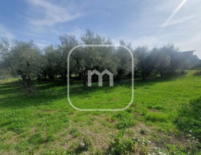 immagine annuncio 9 di 13