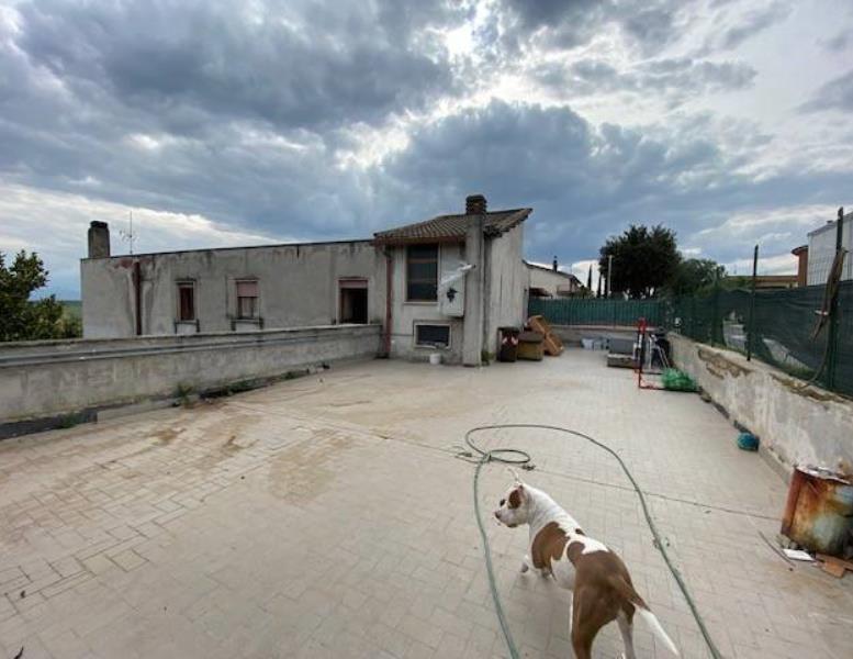 immagine annuncio 8 di 14