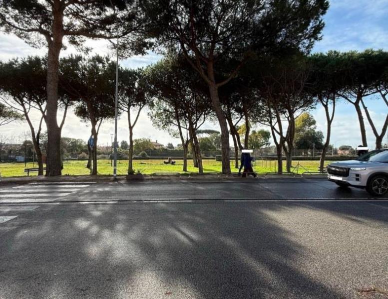 immagine annuncio 10 di 12