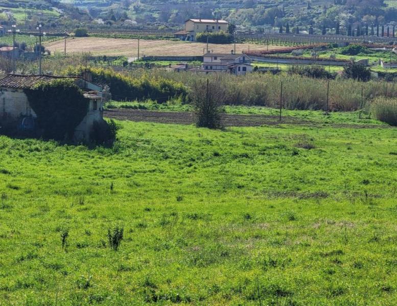 immagine annuncio 10 di 12