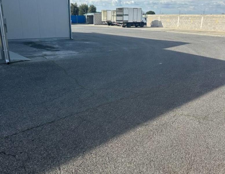 immagine annuncio 5 di 14