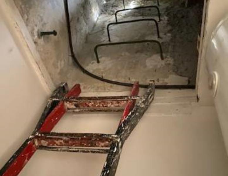 immagine annuncio 9 di 14