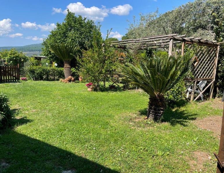 immagine annuncio 6 di 14
