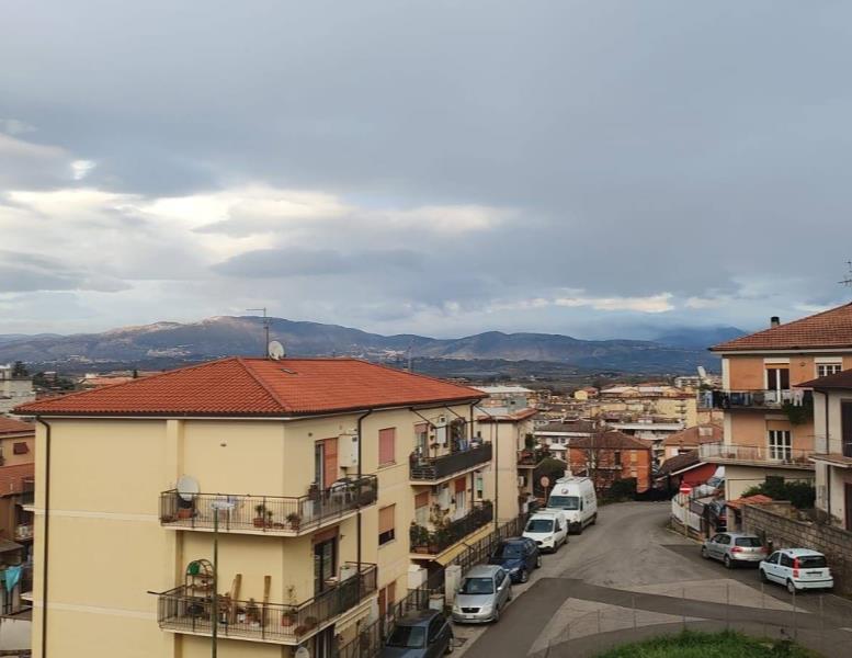 immagine annuncio 4 di 14