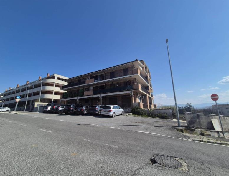 immagine annuncio 8 di 14