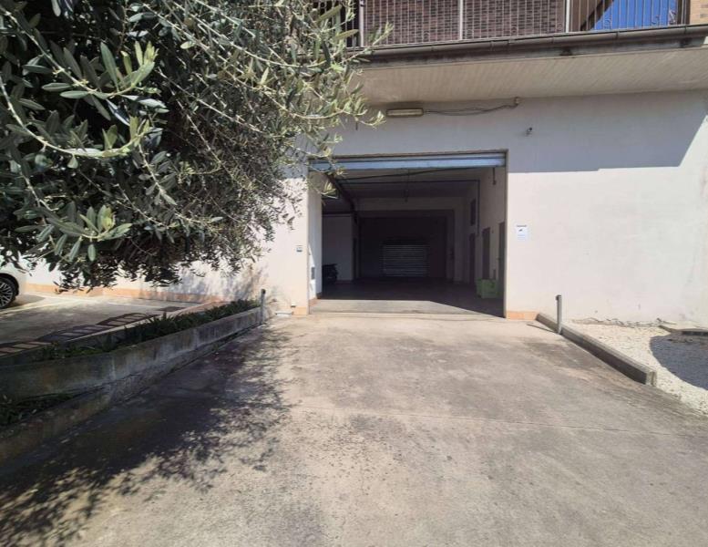 immagine annuncio 7 di 14