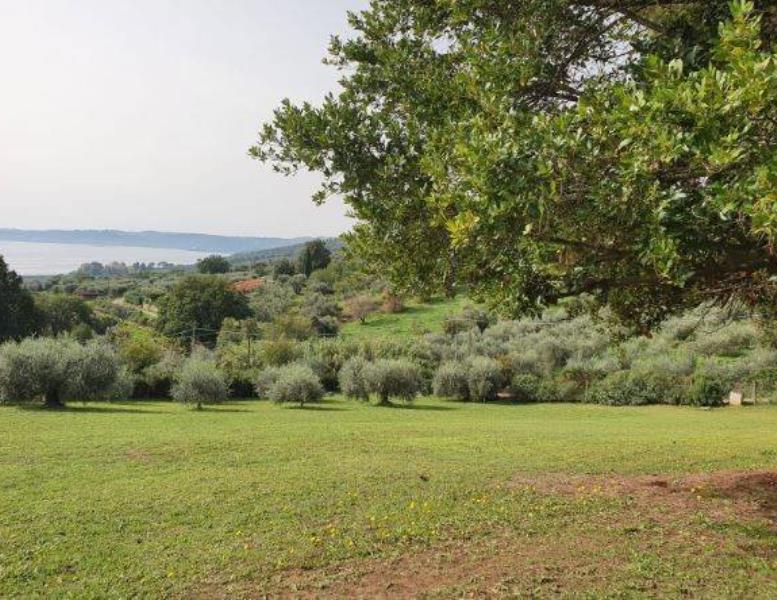 immagine annuncio 7 di 9